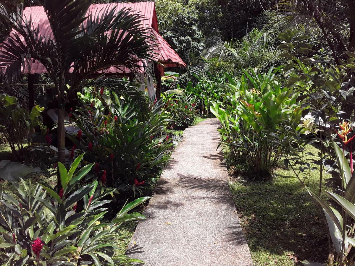 Villa Sevilla Big Creek Exterior foto